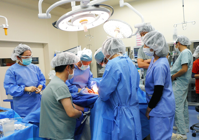 外科の外来担当表