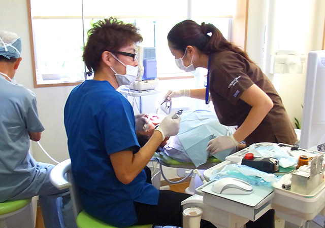 歯科の外来担当表